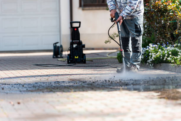 Best Deck Cleaning Services  in Napili Honokowai, HI
